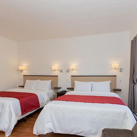Rivière-du-Loup Motel Au Fleuve D'Argent المظهر الخارجي الصورة